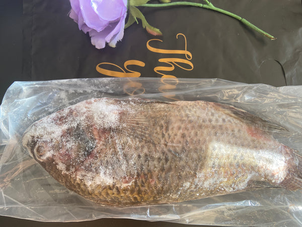 Tilapia fish frozen