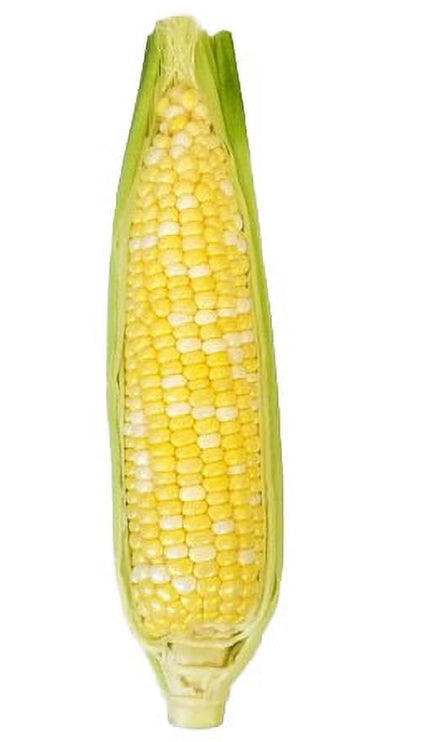 Corn cob one each